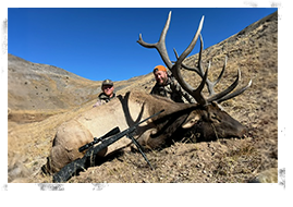 Elk Hunting