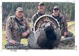 Spring Turkey Hunting