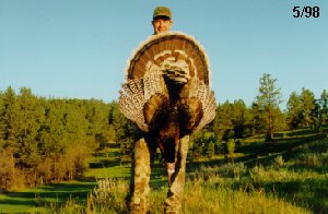 Fantastic Turkey Hunting