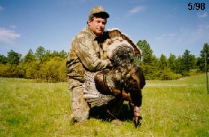 Turkey Hunting At Its Best