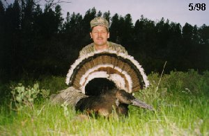 Track Wild Spring Turkeys