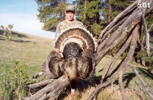 Bag a Gobbler