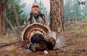 Bag a Gobbler