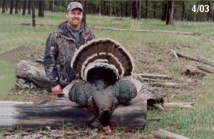 Fantastic Turkey Hunting