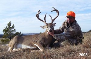 Whitetail Deer Hunting
