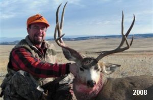 Mule Deer Hunting