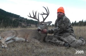 Whitetail Deer Hunting