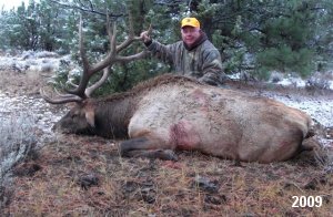 Elk Hunting