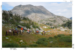 Summer Mountain Trips